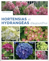 Hortensias et hydrangéas d'aujourd'hui