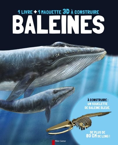 Baleines : Un livre + une maquette 3D à construire