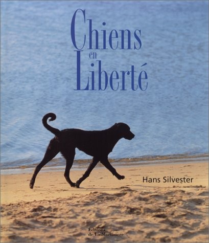 Chiens en liberté