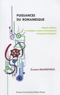 Puissances du romanesque : Regard extérieur sur quelques romans contemporains d'expression française