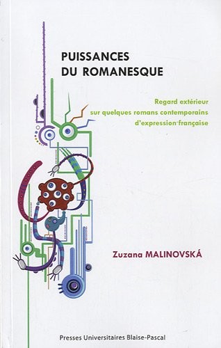 Puissances du romanesque : Regard extérieur sur quelques romans contemporains d'expression française