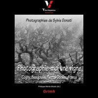 PHOTOGRAPHIE-MOI UNE VIGNE: COGNY  BEAUJOLAIS PIERRES DOREES  FRANCE