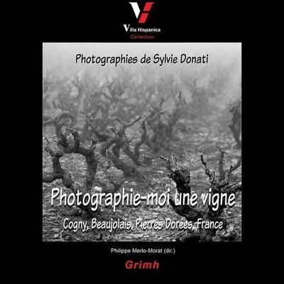 PHOTOGRAPHIE-MOI UNE VIGNE: COGNY  BEAUJOLAIS PIERRES DOREES  FRANCE