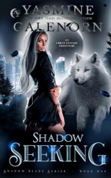 Shadow Seeking: An Urban Fantasy Adventure