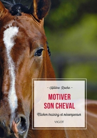 MOTIVER SON CHEVAL