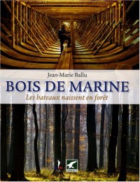 Bois de marine : Les bateaux naissent en forêt