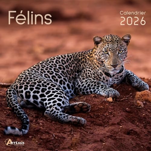 Calendrier félins 2026