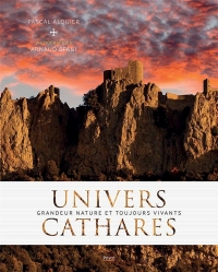 Univers Cathares: Un téléphérique urbain à Toulouse