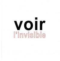 Voir l'invisible: Comprendre - Agir. Tome 2