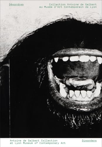 Désordres: Collection Antoine de Galbert au musée d'Art contemporain de Lyon