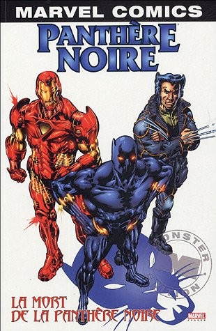 Panthère Noire, Tome 3 : La mort de la panthère noire