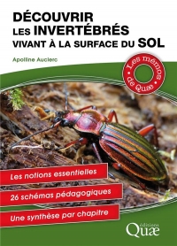 Découvrir les Invertebres Vivant a la Surface du Sol