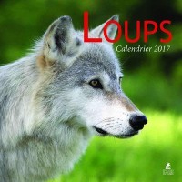 Loups calendrier 2017