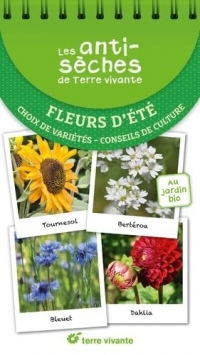 Les antisèches de Terre vivante : Fleurs d'été: Choix de variétés – Conseils de culture