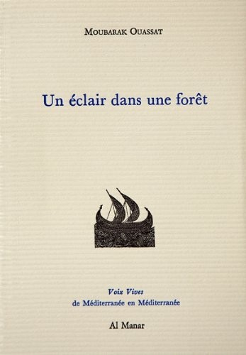 Un éclair dans une forêt