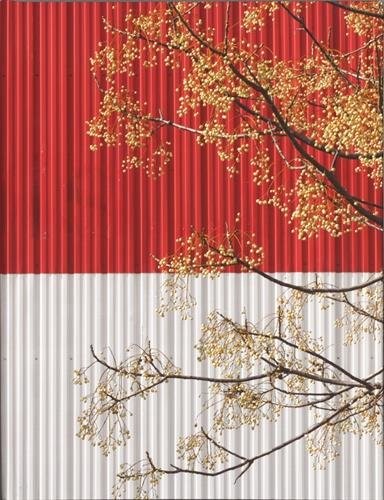 Jérôme Bryon : Possibilité de survie en milieu hostile