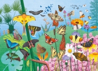Les papillons / puzzle