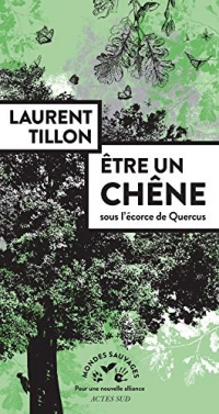 Être un chêne: Sous  l'écorce de Quercus