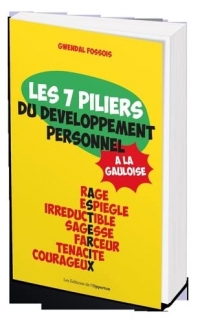 Les 7 piliers du développement personnel à la gauloise