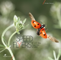 Speed flyers : Le vol des insectes révélé