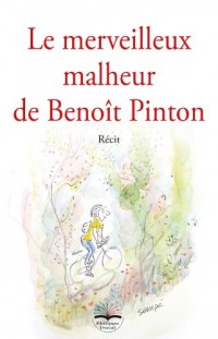 Le merveilleux malheur de Benoît Pinton