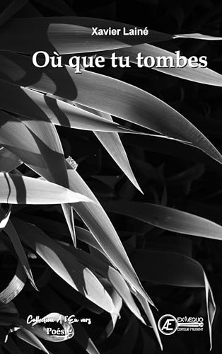 Ou que tu tombes
