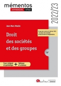 Droit des sociétés et des groupes: Un cours clair, structuré et accessible pour l'étudiant (2022-2023)