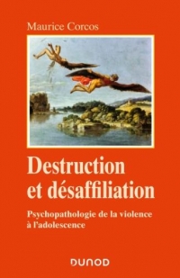 Destruction et désaffiliation: Psychopathologie de la violence à l'adolescence