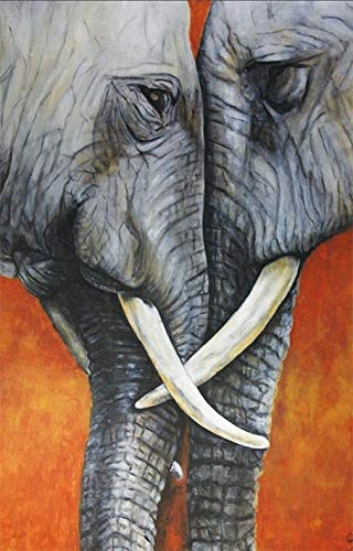 Carnet rigide mémoire éléphant