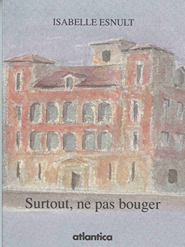 Surtout, Ne Pas Bouger Reflexions Dun Artiste en Galerie Dart