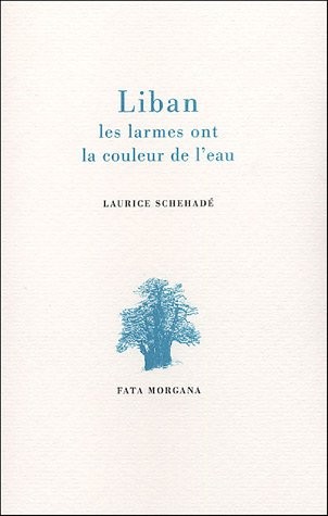 Liban : Les larmes ont la couleur de l'eau