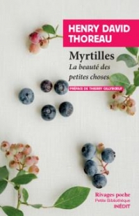 Myrtilles: La beauté des petites choses