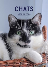 Chats - Agenda 2026