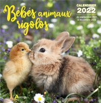 Calendrier Bébés animaux rigolos 2022