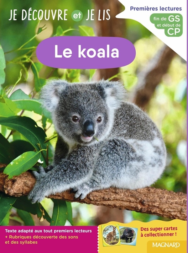 Je découvre et je lis GS et CP - Le koala: Fin de GS et début de CP