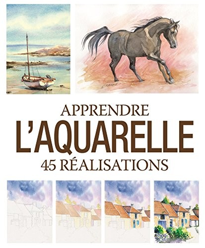 Apprendre l'aquarelle : 45 réalisations