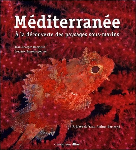Méditerranée : A la découverte des paysages sous-marins
