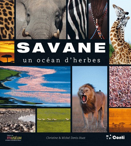 Savane : Un océan d'herbes