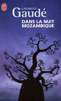 Dans la nuit mozambique : Et autres récits