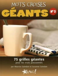 Mots croisés géants : Tome 3