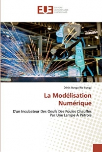 La Modélisation Numérique: D'un Incubateur Des Oeufs Des Poules Chauffés Par Une Lampe À Pétrole
