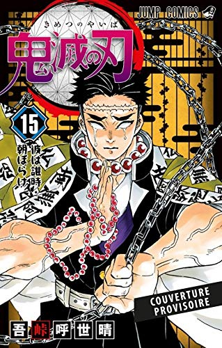 Demon Slayer T15
