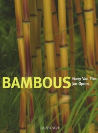 Bambous