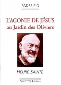 L'agonie de Jésus au Jardin des Oliviers