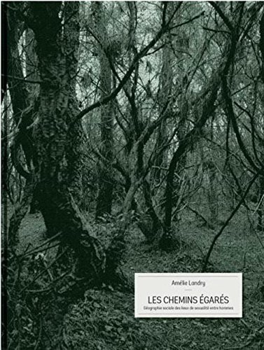 Les chemins égarés : Géographie sociale des lieux de sexualité entre hommes