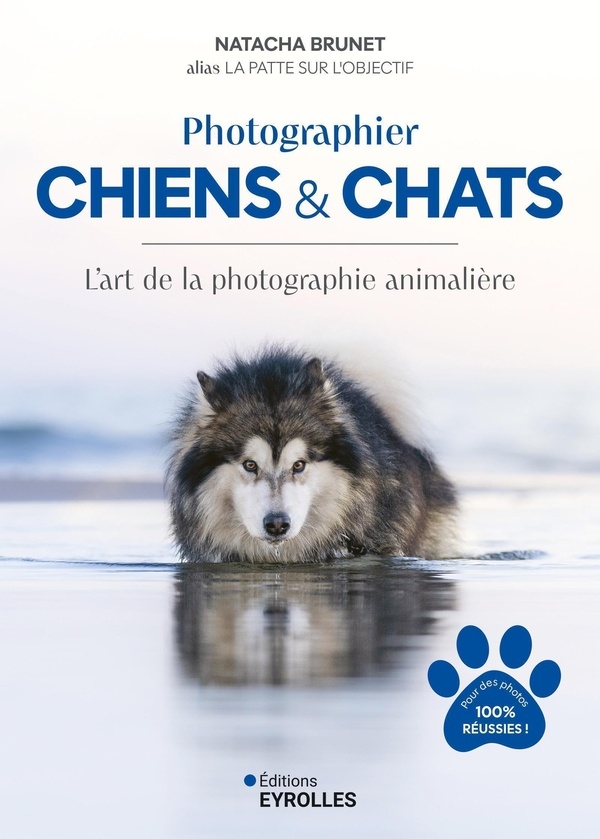 Photographier chiens et chats: L'art de la photographie animalière
