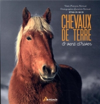 Chevaux de terre & vent d'hiver