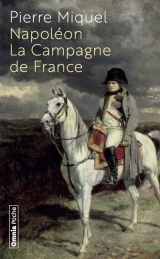 Napoléon, La Campagne de France