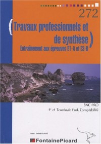 Travaux professionnels et de synthèse 1e et Tle Bac pro comptabilité : Entraînement aux épreuves E1-A et E3-B