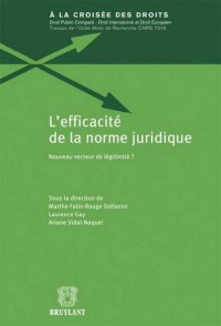 L'efficacité de la norme juridique